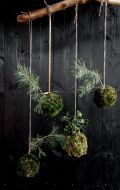 Gifts from Nature 1